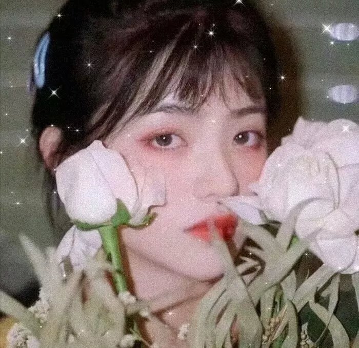 芭拉芭拉樱之花
